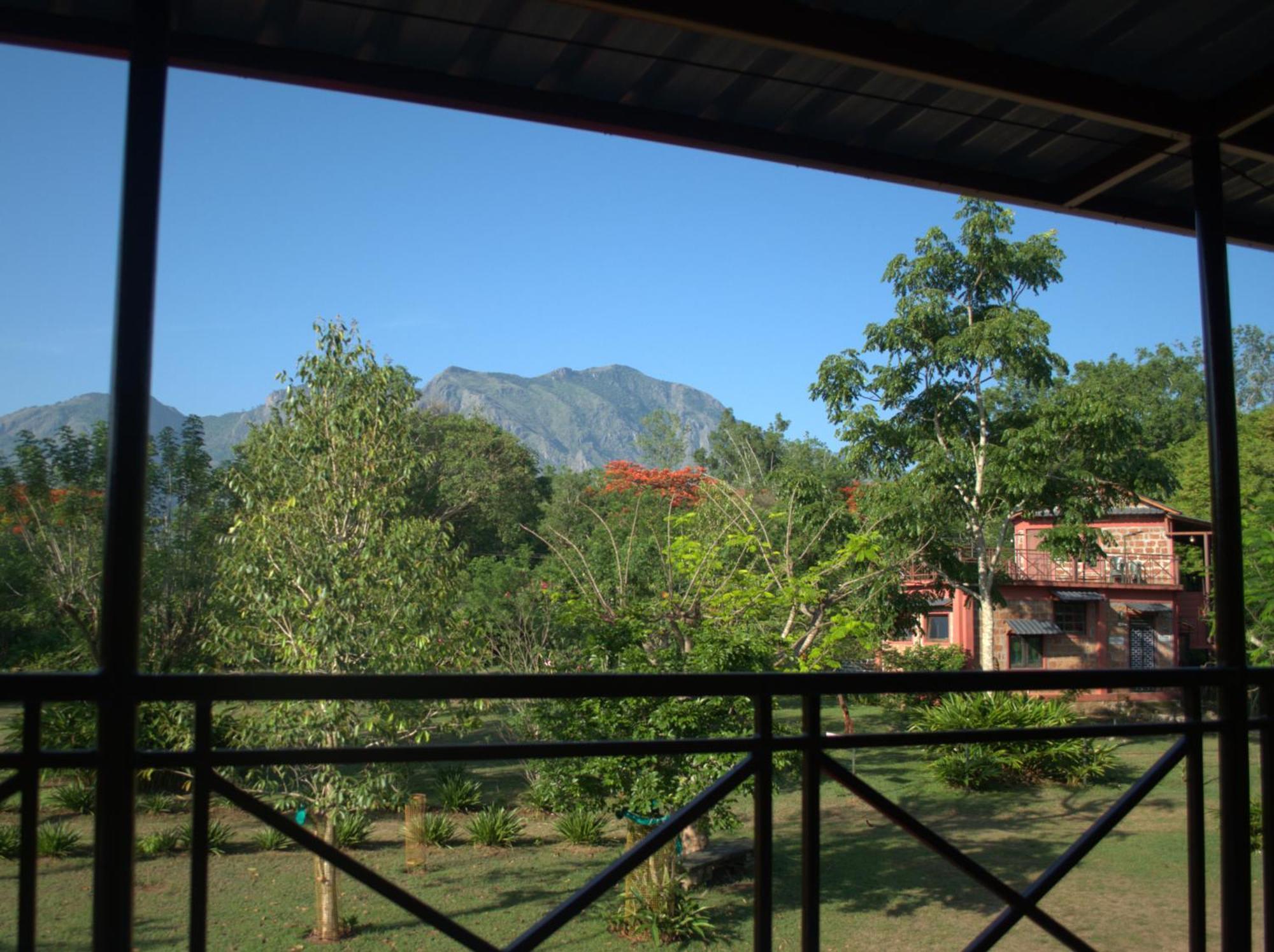 Tamarind Tree Masinagudi Hotel Exterior photo